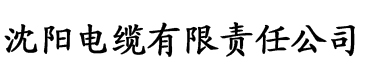 香蕉视频91污电缆厂logo